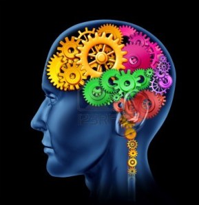 brain-image-picture-clipart-4